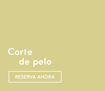 TW_Spring-HairDays-2017_Landingpage_ES_MP_v02_22